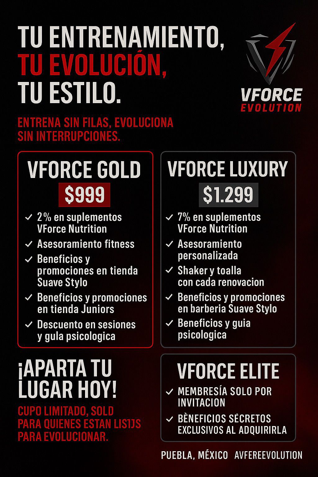 Tabla de precios y planes de membresía V Force